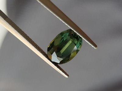 Saphir, grün 2,60ct